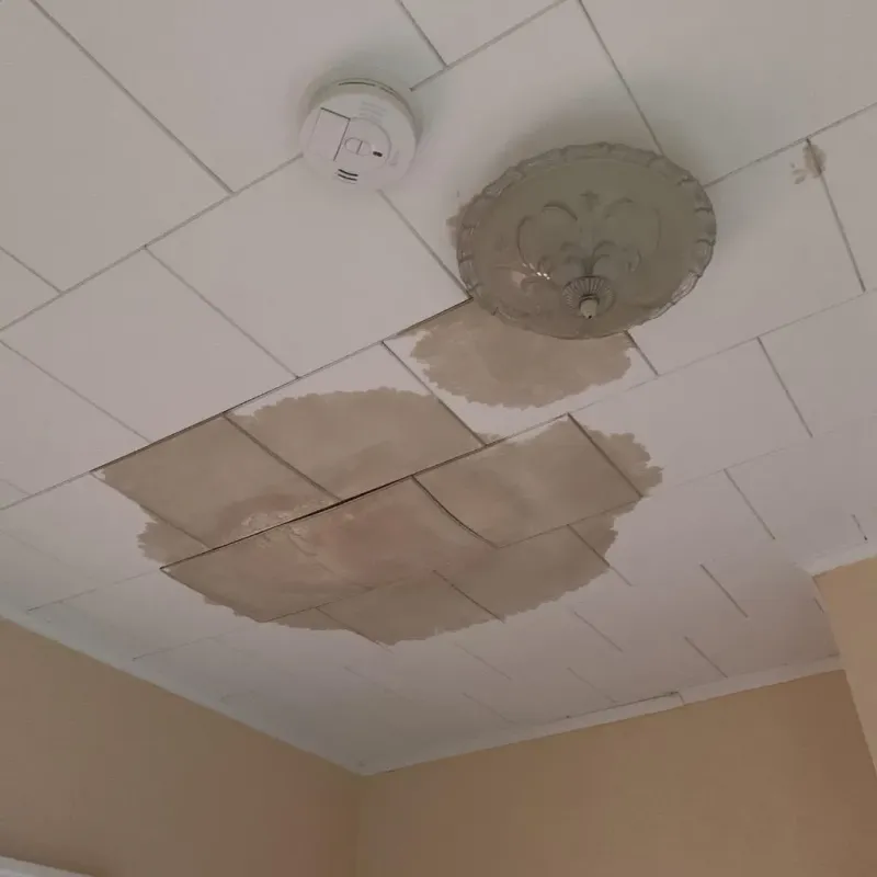 Ceiling Water Damage Repair in Houston, TX
