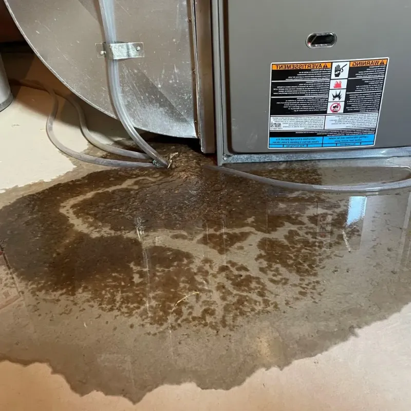 Pipe Burst and Leak Restoration in Houston, TX